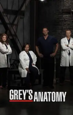 постер Анатомия страсти 13 сезон