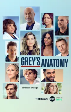 постер Анатомия страсти 19 сезон 7 серия