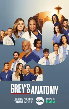 постер Анатомия страсти 20 сезон 5 серия